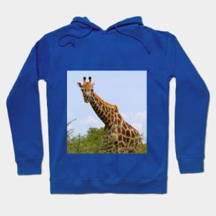 Giraffe Hoodie